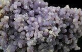 Grape Agate Cluster - Excellent Specimen #34286-4